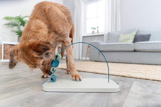 Trixie Skills Loop Dog Enrichment Toy, Advanced Level 4 Food Puzzle for Dogs, Interactive Treat Game for Smart Pups