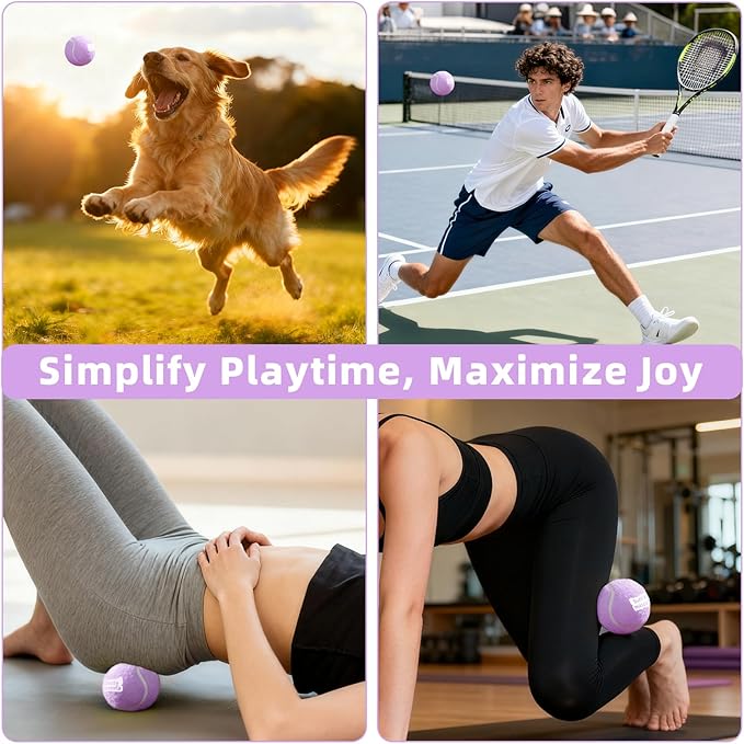 2.5" Dog Tennis Balls 6-Pack Silent Bounce, Tough Rubber Core, Durable Fetch & Training Toys for Indoor/Outdoor Play, for Small Medium Large Dogs (Light Purple, 6 Pack)