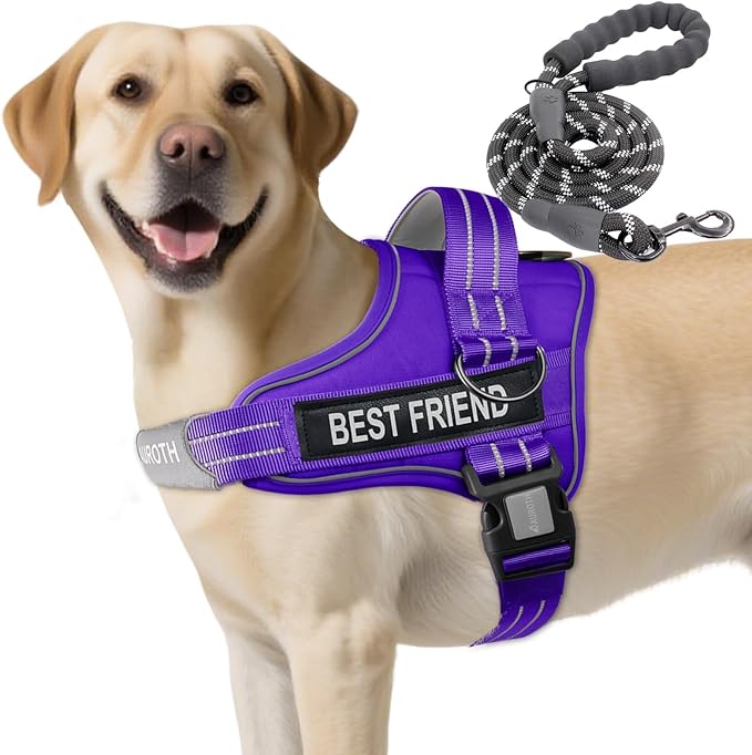 AUROTH Dog Harness and Leash Set, Soft Padded Service Dog Vest with 5.25FT Dog Leash, No Choke, Easy On Pet Vest, Adjustable Reflective No Pull Dog Harness for Large Dogs, Easy Walking and Training
