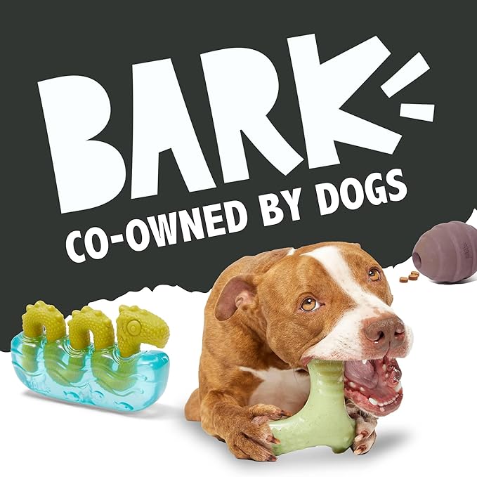 Barkbox Super Chewer Tough Dog Chew Toys for Aggressive Chewers, Dental Stimulating (Antler - Large)