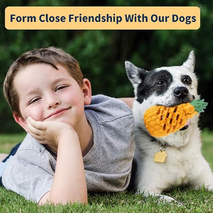 Teething Chew Toys for Puppy Small Dogs, Interactive Dog Toys to Keep Them Busy Puppies Tough Dog Dental Clean Toys