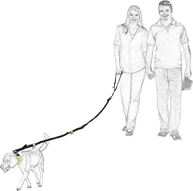 Mile High Life Hands Free Waist Leash for Dog Running Training and Jogging, Adjustable Belt with Double Handle, Reflective Bungee for Medium Large Dogs (Blue, 7FT)