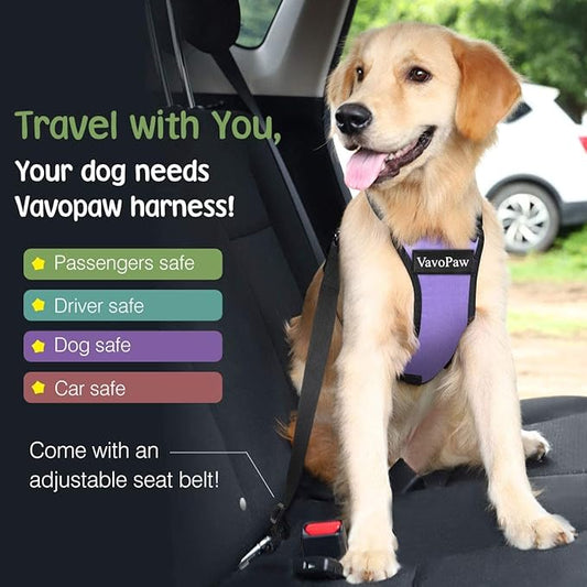 VavoPaw Dog Seat Belt, Safety Vest Dog Car Harness with Adjustable Buckle Dogs Seat-Belt for Vehicle Nylon Pet Safety Seats Belts Heavy Duty(M, Purple)