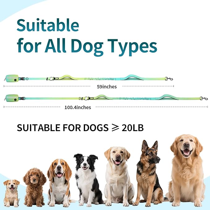 Hands Free Dog Leash with Removable Zipper Pouch, Dual Padded Handles and Durable Bungee for Walking, Jogging and Running-Your Dog (Large, 35-140 lbs-Cyan