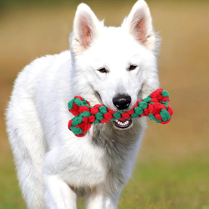 Dog Chew Bone Shaped Cotton Rope Interactive Molar Chewing 15cm for Pet Dogs Teeth Cleaning and Tug Play