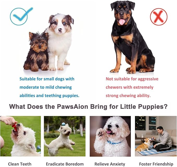 Puppy Chew Toys for Teething and Fun, 20 Pack Dog Toys for Small Puppies Bulk with Various Rubber Rings, Ropes and Balls for Interactive Play, Teeth Cleaning & Relief