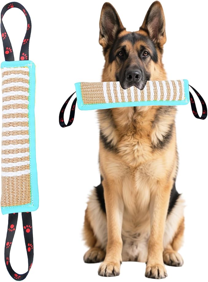 Clysoru Dog Tug Toy Tough Jute Bite Pillow Lasting Training Equipment Puppy to Large Dogs Interactive for Large and Small (Mint Green)