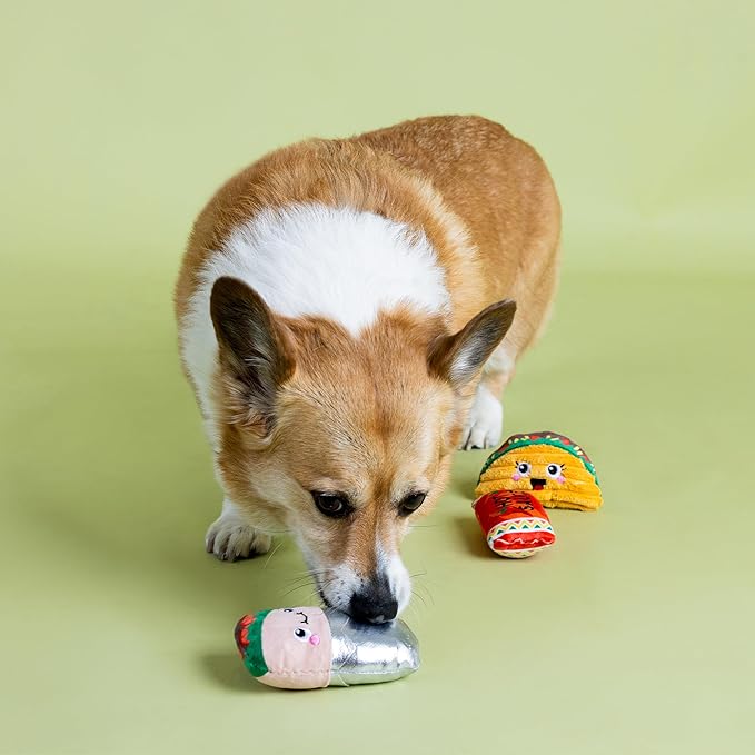 Fringe Studio I GOT The HOTS for You, Small Plush Dog Toy 3PCS Set, PetShop Collection (662107)