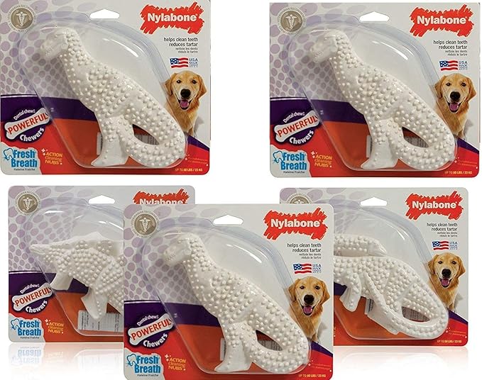 Nylabone 5 Pack of Power Chew Dental Dinosaur, Regular, Assorted Shapes