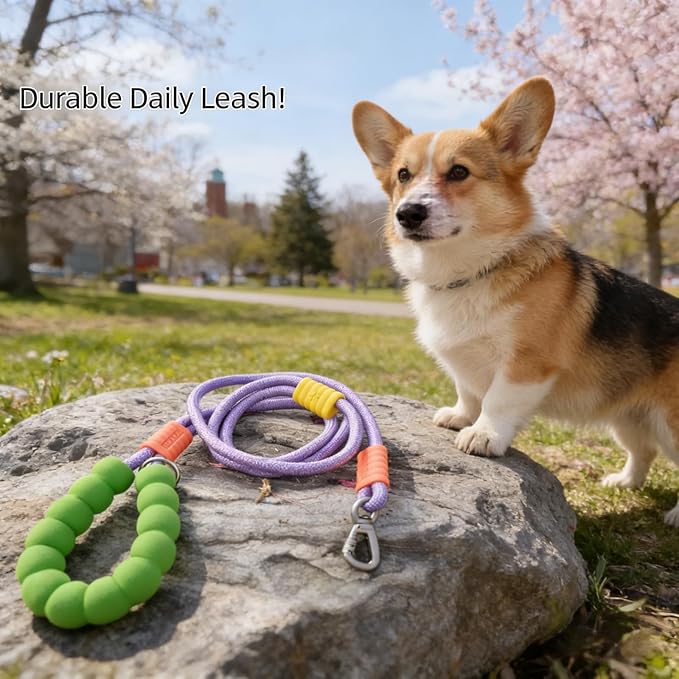 Hands Free Dog Leash,Adjustable Bungee Waist & Crossbody Leash with Comfortable Handle,Heavy Duty Nylon Rope for Small to Large Dogs,Safety Lock for Running,Hiking,Walking (Purple-6ft)
