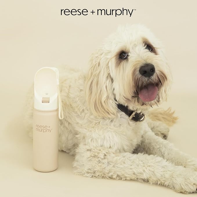 Dog Water Bottle - Stainless Steel Pet Water Bottle for Travel & Portable Dog Water Bottle - Water Bottle for Dogs on The Go 16.9 Oz, Cream
