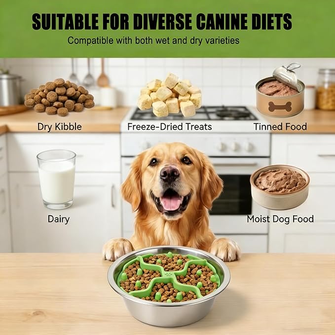 2PCS Dog Slow Feeder Insert – Silicone Bowl Insert with Strong Suction Cups, Turn Regular Bowl into Slow Eater, Fits Ceramic, Glass & Metal