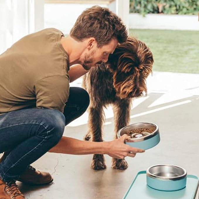 Trot Pets Premium Dog Bowls | Stainless Steel Bowl Set for Small, Medium, or Large Dogs | Non-Slip Food and & Water Slow Feeder | Durable, BPA-Free, Anti-Skid, Dishwasher Safe (Charcoal, Small)