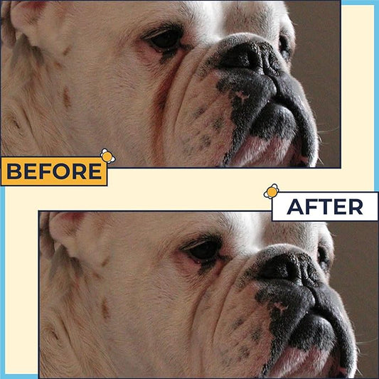 Paste for Bulldogs Wrinkle 2oz+ 50 Wrinkle Wipes French Bulldog (Pack of 2)- Wrinkle Cream for Dogs, Frenchie, English Bulldog, Pug- Cleans Rashes,Tail Pockets, Dry Skin & Paws (Made In USA)