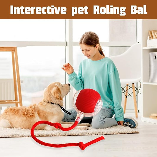 2PC Interactive Dog and Cat Ball Toy - Electric Rolling Toy with 360 Automatic Movement for Pets (Green+Green)