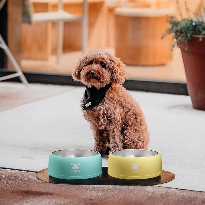 PAWGETHERยฎ Stainless Steel Dog Bowls, Dog Food and Water Bowl Non-Slip Easy to Clean Dishwasher Safe for Puppy Small Medium Dogs Cats White 34oz