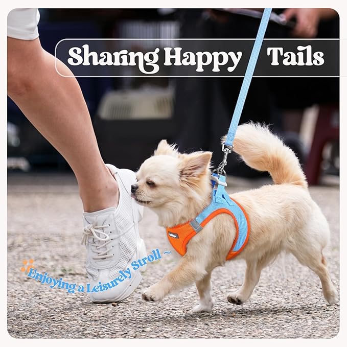 rabbitgoo Dog Harness Small Sized and Leash Set, Step in Soft Light Puppy Vest, Breathable Mesh Pet Harness, Reflective for Safe Easy Walking, Blue & Orange XXXS
