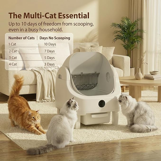 Automatic Litter Box, Self Cleaning Litter Box for Multiple Cats, Odor & Scoop Free, Apple Control, Large Space with Safety Protection, Opening Top, Real-Time Monitor