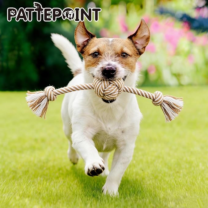 Dog Rope Toy for Small Dog 3pcs, Natural Chew Toys for Puppy, Medium & Small Dogs, Tug of War Rope for Puppies Clean & Relieve Teething