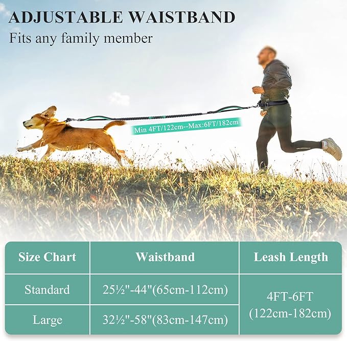 VIVAGLORY Hands Free Dog Leash Bungeeone Running Dog Leash with Waist Belt for Running Walking & Jogging, Bungee & Around Waist for Pet, S, Black/Turquoise