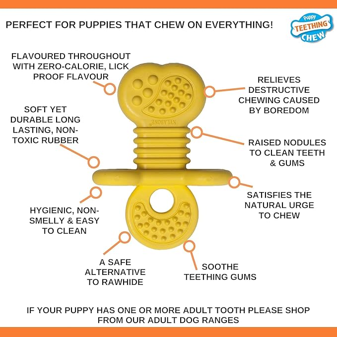 Nylabone Rubber Teether Puppy Chew Toy, Teething Toys for Puppies, Vanilla Flavor, Small - Up to 25 lbs, 1 Count