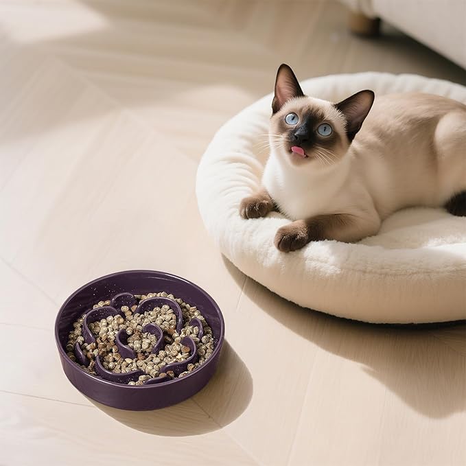 Ceramic Slow Feeder Dog Bowl - Feeding Dish for Fast Eaters - Maze Dog Bowl to Slow Down Eating - Ideal Food Control Dish for Small Breeds - 0.8 Cups (80g) - 6.3 Inch - Purple