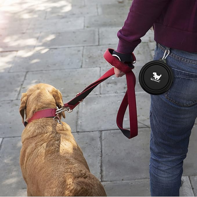 Collapsible Dog Bowls for Travel, 2-Pack Dog Portable Water Bowl for Dogs Cats Pet Foldable Feeding Watering Dish for Traveling Camping with Carabiners, BPA Free (Grey&Black, Small (Pack of 2))