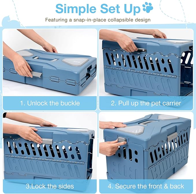 Pet Carrier for Cats & Small Dogs, Foldable & Durable Hard Cat Carrier Plastic, 2-Door 360° Ventilation Clear Top Pet Travel Kennel Crate for Longer Traveling Upto 22Lbs (22.0" L x 13.0" W x 14.6" H)