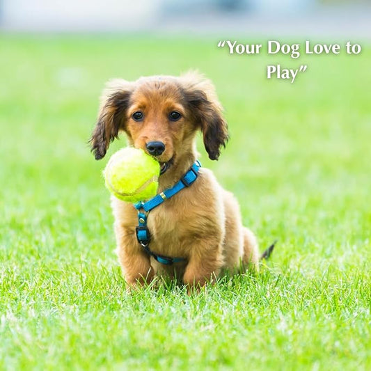 Automatic Dog Ball Launcher – 12 ETPU Balls & Bonus Collapsible Bowl, 3 Distance Settings (20ft/33ft/46ft), Smart Fetch Toy for Small & Medium Dogs, Indoor/Outdoor Use (Blue)