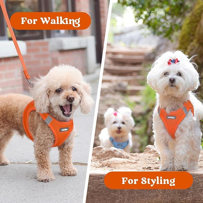 rabbitgoo Small Dog Harness, Step-in Soft Mesh Puppy Vest with Safety Buckle, Breathable Reflective Pet Harness for Small Medium Dogs, Orange XL