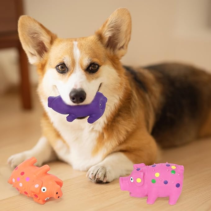 6 Pack Squeaky Pig Dog Toys, Rubber Pig Dog Toys for Puppy, Small, Medium Dogs, 4 Inch Durable Interactive Grunting Latex Squeaky Chew Toys