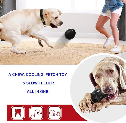 GOLDROC Interactive Treat Dispensing Dog Toy with Cooling Feature – Durable Chew Toy for Aggressive Chewers, Fun Fetch, Dishwasher Safe (Black)