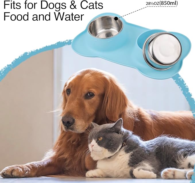 Dog Bowls 2 Stainless Steel Bowl for Pet Water and Food Feeder with Non Spill Skid Resistant Silicone Mat for Pets Puppy Small Medium Cats Dogs