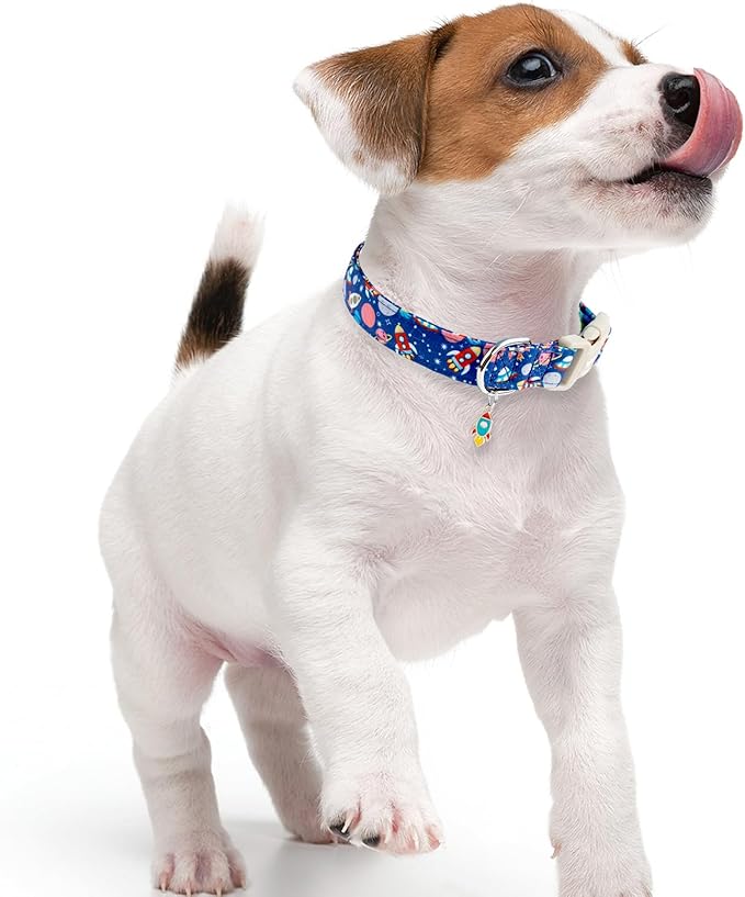 Faygarsle Space Theme Dog Collar, Navy Blue with Rockets and Planets Pattern for Summer Small Medium Large Dogs M
