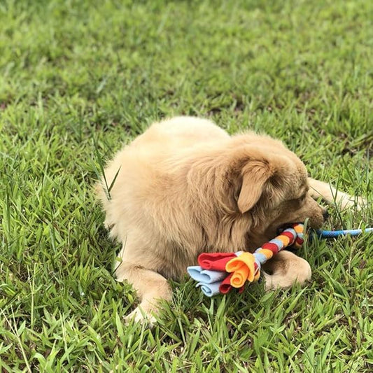 Dewonch Dog Fleece Rope Teaser Toy as Replacement to Chase and Tug (A-2PCS)