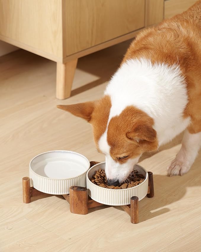 Getstar Elevated Ceramic Dog Cat Bowl Set - 1.8-Cup Raised Feeding Bowls with Non-Slip Wood Stand - Small Pet Dishes for Food and Water - Ideal for Cats and Puppies