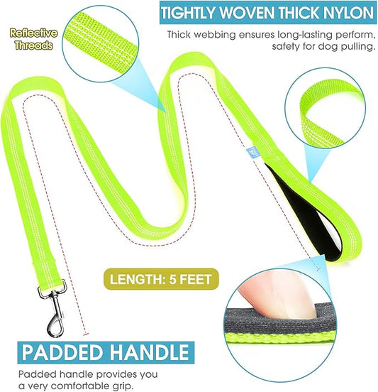 BAAPET 5 Feet Nylon Dog Leash with Triple Reflective Threads and Comfortable Padded Handle for Walking, Training Lead Small Puppy, Medium and Large Dogs (1.0'' x 5 FT, Green)