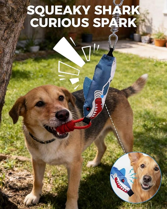 Outdoor Tether Tug Dog Toy with Ground Stake, Heavy Duty Rope Tug of War Toy for Aggressive Chewers, Interactive Self Play Yard Tug Toy for Large Medium Dogs
