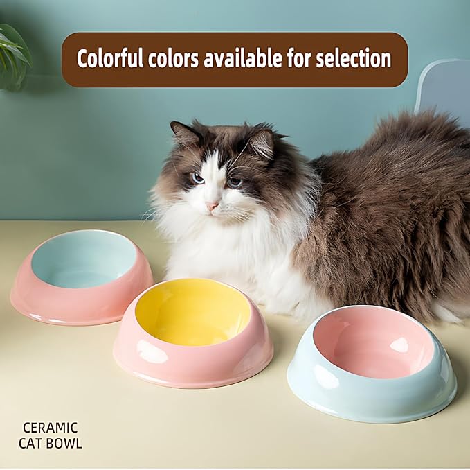 15° Inclined Cat Bowl Optimal Neck Support, Effortless Eating 6.89-Inch Wide and 2.05-Inch Tall Saucer with 7.04-Ounce Capacity Pet Bowl for Cats and Small Dogs(Pink Blue)