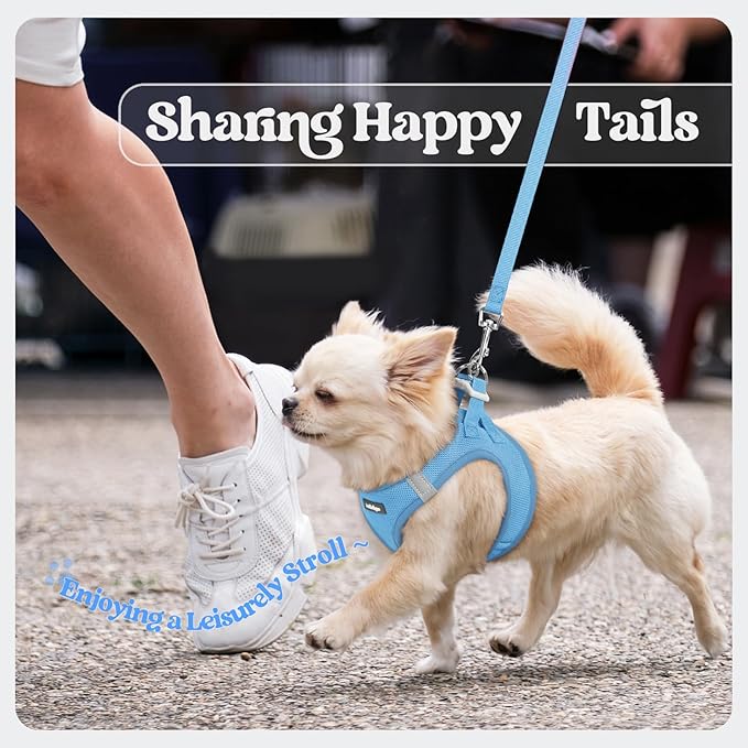 rabbitgoo Dog Harness Small Sized and Leash Set, Step in Soft Light Puppy Vest, Breathable Mesh Pet Harness, Reflective for Safe Easy Walking, Blue XXS