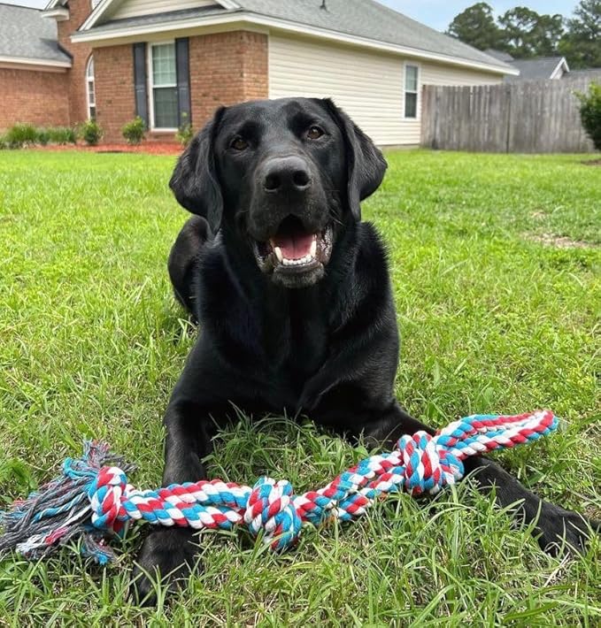 Pacific Pups Products XL Dog Rope Toy for Aggressive Chewers - Benefits Non-Profit Dog Rescue - Tug of War Dog Toy, Dog Toys for Large Dogs Tough Dog Toys for Aggressive Chewers Red