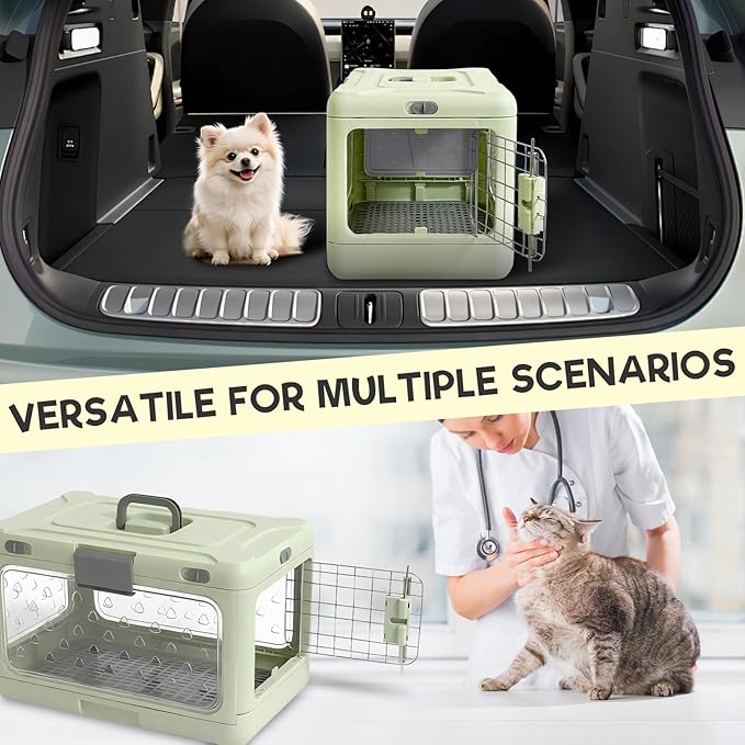 Hard Cat Carrier,Dog Crate for Small Dogs,Cat Kennel Clear,Foldable Dog Kennel with Urine Pad Mesh Grid,Ventilation & Hard Plastic Protection Transparent Pet Carrier 20" L,Green