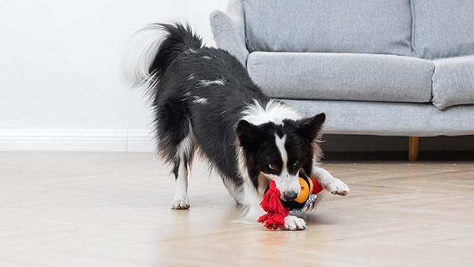 The Dodo Treat Dispensing Toy for Dogs with Rope Legs for Chewing, Treat Hide Enrichment Toy and Dispenser (Pack of 2)