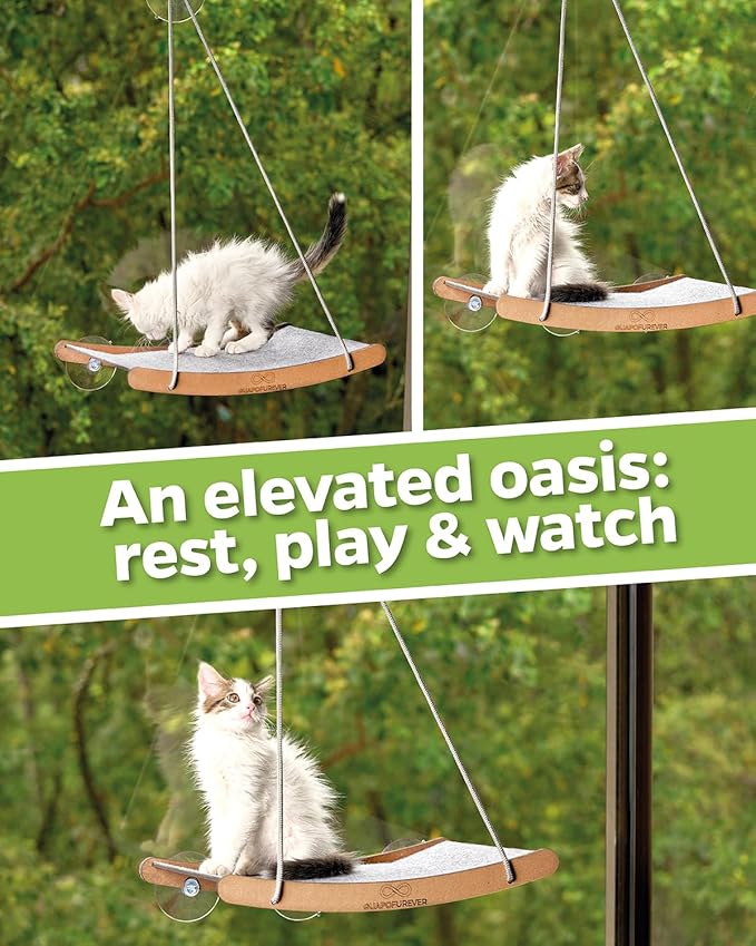 Durable Window Cat Bed – Eco, Heavy-Duty Suction Cups, cat Window Hammock & Washable Cover, Space-Saving Window Seat, Strong Suction Cup Window Perch for Indoor Felines (Medium)