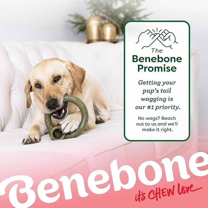 Benebone Peppermint Ring – Limited Edition Holiday Flavor, Durable Chew Toy for Aggressive Chewers, Made in USA, Medium