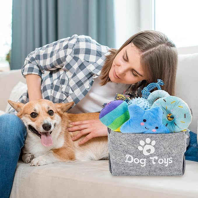12 Pack Puppy Teething Toys Set - Small Breed Chew Toys with Storage Case, Suitable for Puppies 8 Weeks