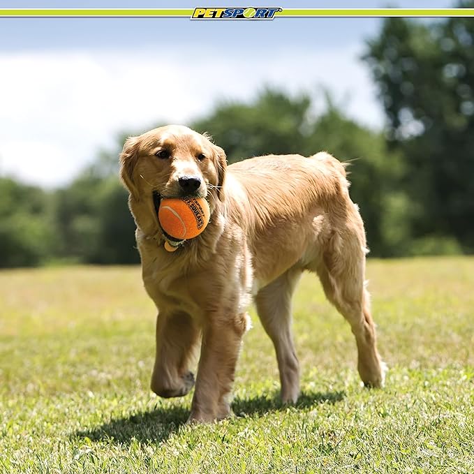 PetSport Giant Squeaker Tuff Ball - Giant Tennis Balls for Large Dogs, Great for Boredom & Aggressive Chewers, Dog Toy, Non-Toxic, Won't Wear Down Teeth - 4"(3 Pack)