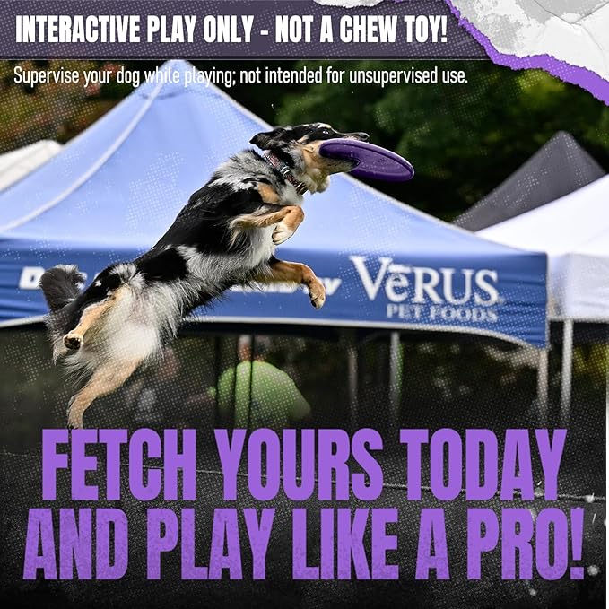 Hyperflite Nano Hyperflex Disc Dog Disc 4” (24g) | Official Skyhoundz Mini Flying Disc for Small Dogs & Puppies | Long-Flying, Lightweight Chase Dog Toy for Backyard, & Beach | Anti-Glare - Purple