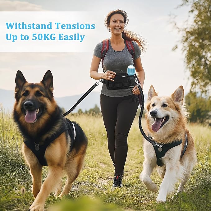 ETACCU Hands Free Dog Leash with Zipper Pouch, Waist Belt for Large Medium 2 Dogs for Running, Walking, Jogging and Hiking, Dual Padded Handles and Durable Bungee - Black (2 Dog)