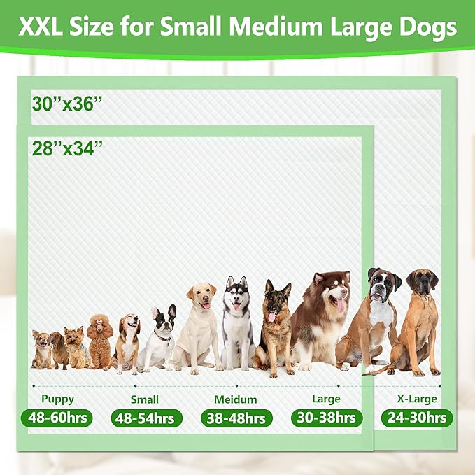 Gimars XL 6-Layer Ultra Absorbent 1200ml 48-Hour Leak-Proof Dog Pee Pads, Quick Dry Extra Large Puppy Pads for Puppy Training, Senior & Incontinent Dogs, Cats, Overnight Use, 30"x36", 50 Count Green